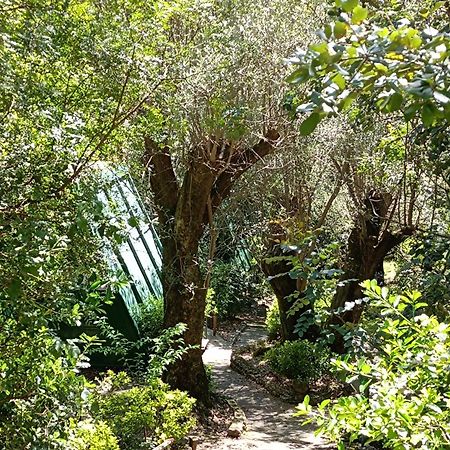 La Francesca Sud Un Villaggio"Glamping" Scario Exterior foto